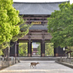 奈良県内で住みやすい街ランキング！子育て世帯におすすめのエリアや主な支援制度について解説